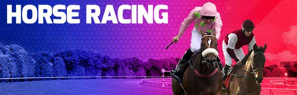 live horse racing odds